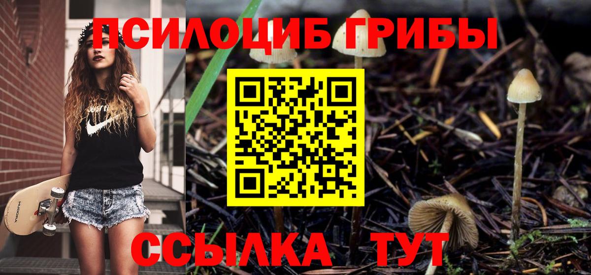 Псилоцибиновые грибы прущие грибы  Вход с VPN  Фурманов  Галлюциногенные грибы Cubensis 