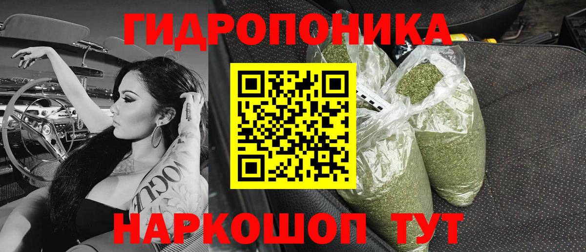 Бошки марихуана тримм  Вход с VPN  Конопля планчик  Фурманов 